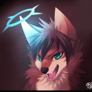 Meet your Posher, Wolf gamer